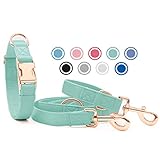 Weich Leder Hundehalsband und Leine (2m) Set - 3-Fach Verstellbar Hundeleine mit Halsband, Stilvollen Rose Gold Metall Schnalle & Nylon Hund Leinen für Welpen Kleine Mittlere Große Hunde Grün,L