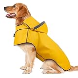 Hunderegenmantel DQGHQME Regenjacke Hunde Reflektierend, Regenmantel Hund Wasserdicht, Regencape Hund Mit Kapuze, Verstellbare Regenjacken für Kleine Mittelgroße Groß Hunde mit Klettverschluss-Gelb-XL