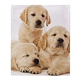 YISUMEI Decke 125x200 cm Kuscheldecken Sanft Flanell Weich Fleecedecke Bettüberwurf Golden Retriever Welpen