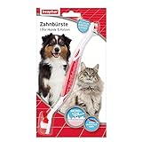 BEAPHAR - Zahnbürste Für Hunde Und Katzen - Entfernt Zahnbelag - Gründliche Reinigung - Doppelkopfzahnbürste - Spezieller Borstenschnitt - Ergonomischer Griff