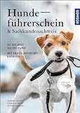 Hundeführerschein und Sachkundenachweis: Mit Frage-Antwort-Katalog