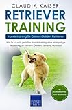Retriever Training – Hundetraining für Deinen Golden Retriever: Wie Du durch gezieltes Hundetraining eine einzigartige Beziehung zu Deinem Golden Retriever aufbaust