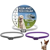 Pets4Luv Floh- und Zeckenhalsband für Hunde, Flohhalsband für Hunde, 24 Monate Schutz, Einheitsgröße für alle Hunde, verstellbar und wasserdicht, 3 Stück