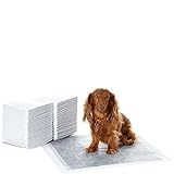 Amazon Basics Trainingspads für Hunde und Welpen mit Kohlenstoff zur Geruchskontrolle, auslaufsicheres Design mit schnell trocknender Oberfläche, Regulär(80 Stück), Grau