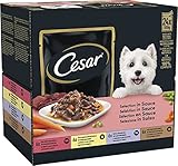 Cesar Adult Hundenassfutter Selektion in Sauce, 48 Portionsbeutel, 24x100g (2er Pack) – Ausgewogenes Premium Hundefutter nass, Auswahl mit Rind, Huhn, Lamm und Truthahn