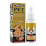 FUZYXIH Hundetoilette Training Spray Inducer Go Here Töpfchen Haustier Ausscheidung Training Spray Hund Töpfchen Trainer Haustier Töpfchen Pad Spray Welpen Training Spray Indoor