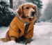 Winterjacken & Wintermäntel für Hunde
